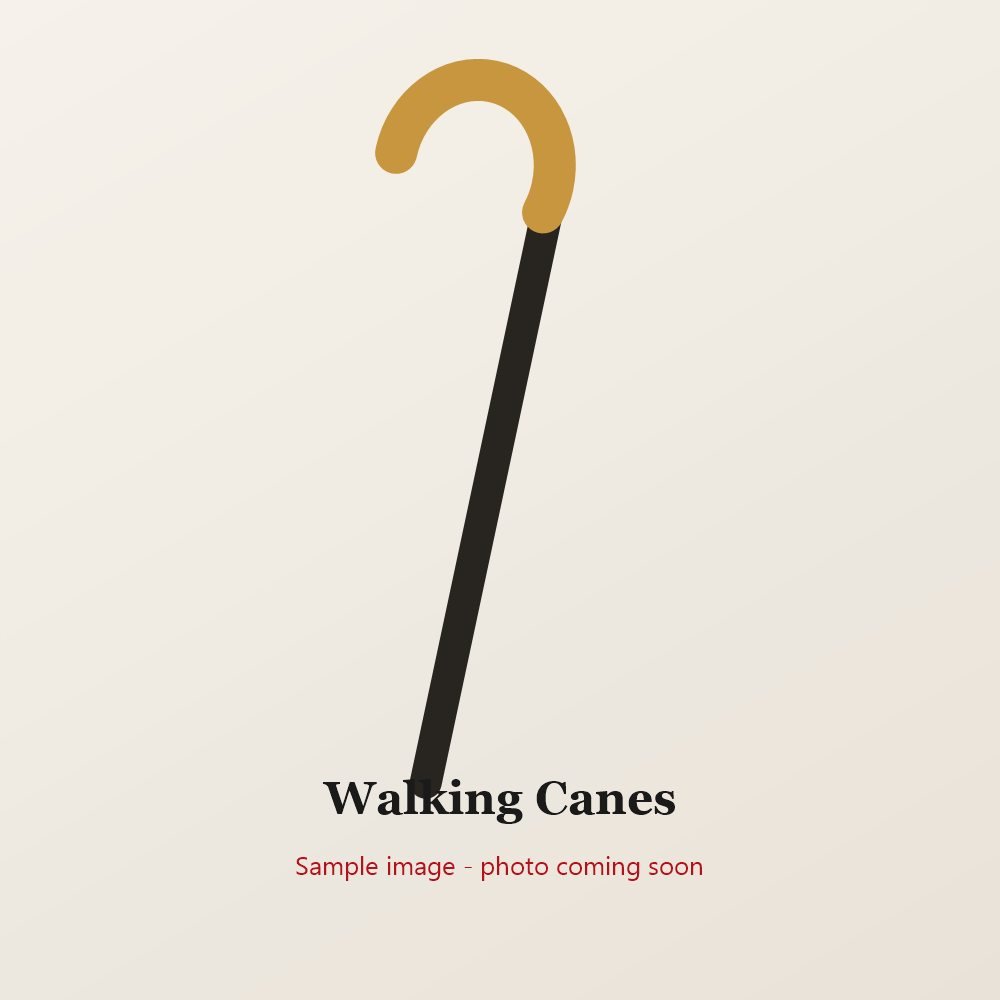 Walking Canes by Mazmi Traders - sample placeholder image